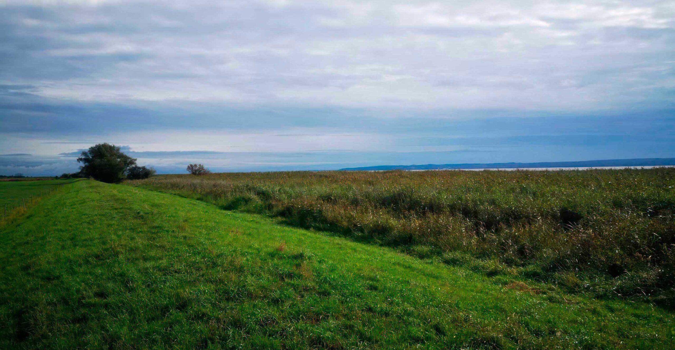 polder_przebrno_v2