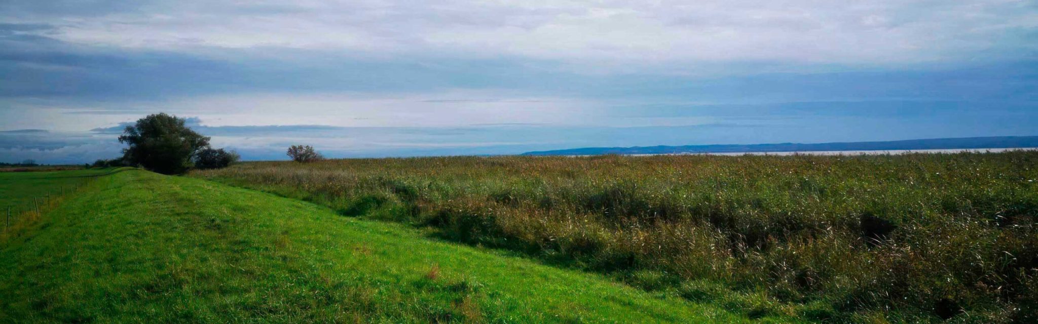 polder_przebrno_v2 polder_przebrno_v2